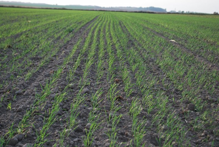 Artist 15.10 (2).JPG