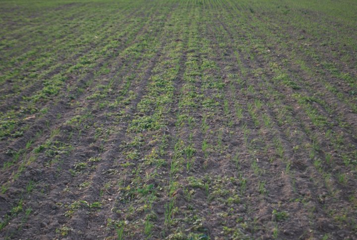 Artist 15.10 (6).JPG