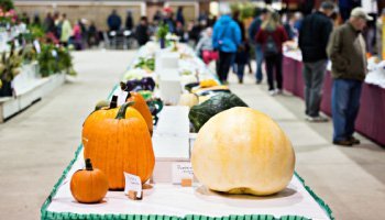 Wystawy i targi rolnicze