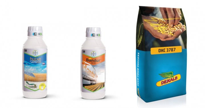 bayer nowości 2019.jpg