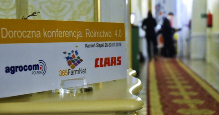 kamień śląski2.JPG