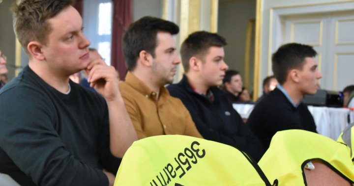 kamień śląski6.JPG