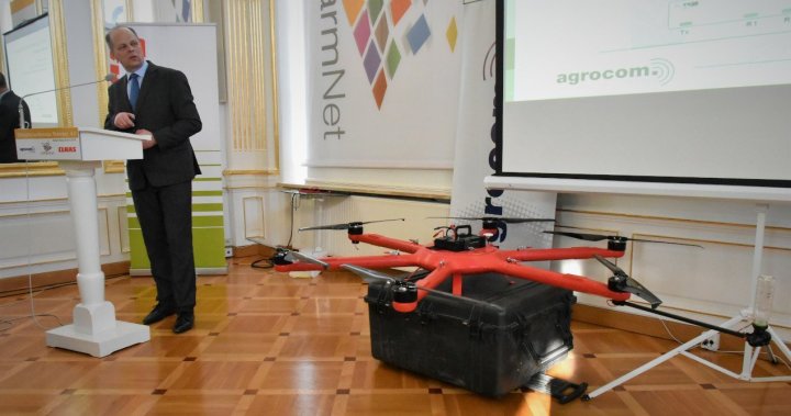 kamień śląski4.JPG