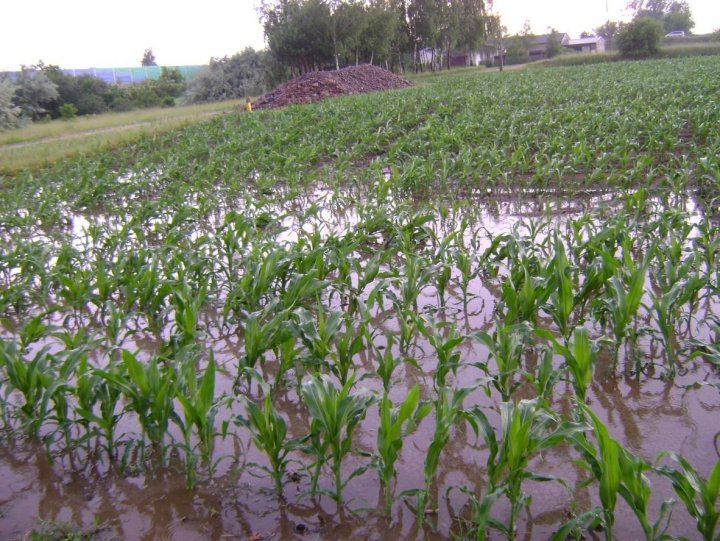 qq po nawałnicy w maju 2018r.JPG