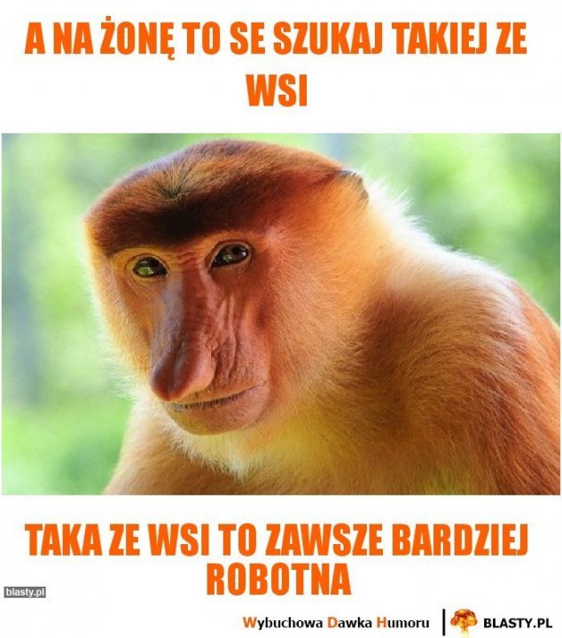 a-na-zone-to-se-szukaj-takiej-ze-wsi_2017-11-02_12-08-54.jpg