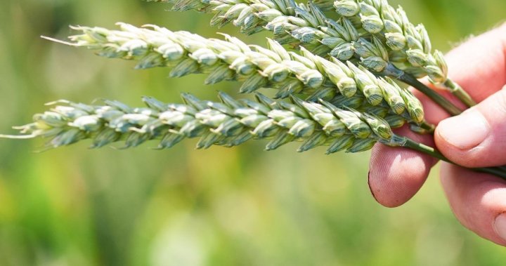 Top banner 1270x667.jpg