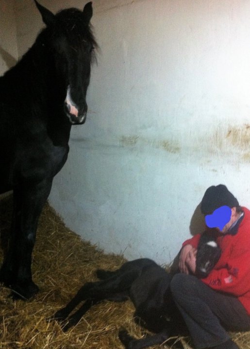 26.03.2019 — kopia (6).JPG