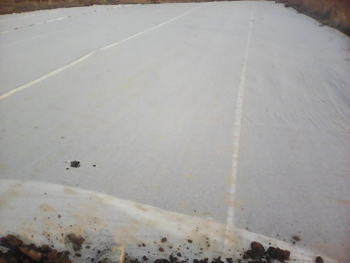 bób 2019  19 ,02.jpg