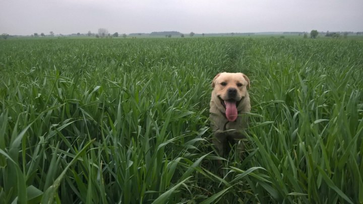 WP_20190428_19_05_17_Pro (2).jpg