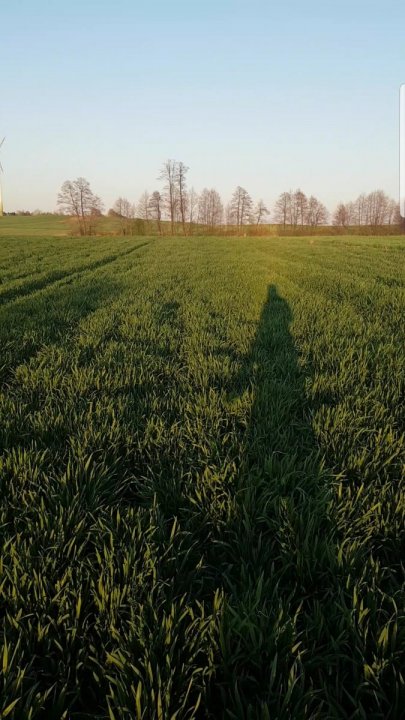 Screenshot_20190415-220620_Video Player.jpg