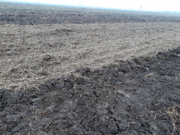 gg 359_Easy-Resize.com.jpg