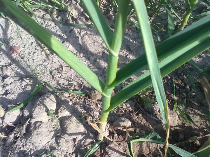 moje zdjecia 443.jpg