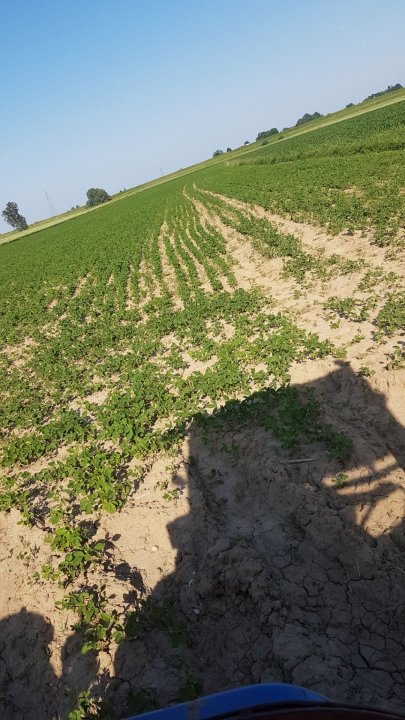 soja przed dr (2).jpg