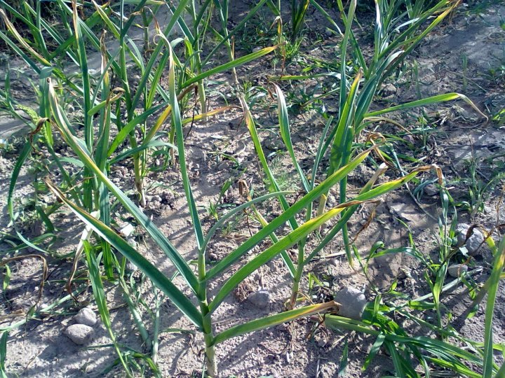 moje zdjecia 441.jpg