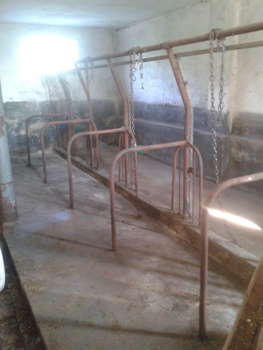 2019-07-12 17.07.01.jpg