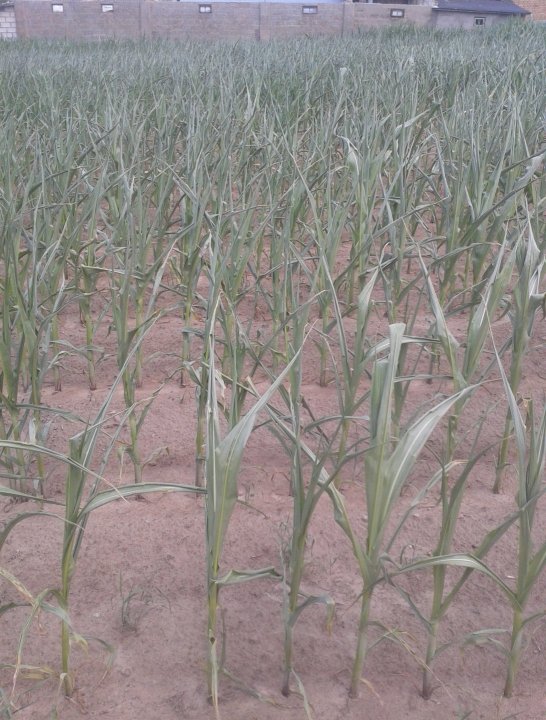 2019-07-03 14.54.45.jpg