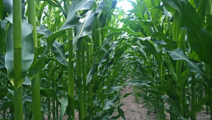 WP_20190701_16_33_56_Pro (2).jpg