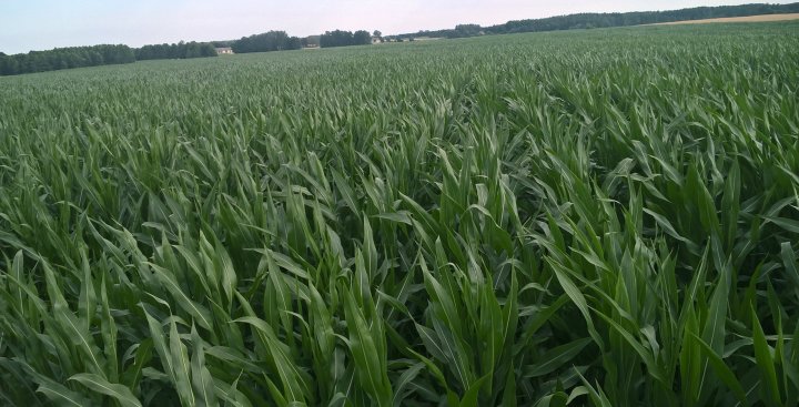 WP_20190701_16_36_35_Pro (2).jpg