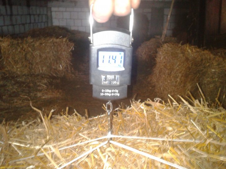 2019-07-28 12.46.05.jpg