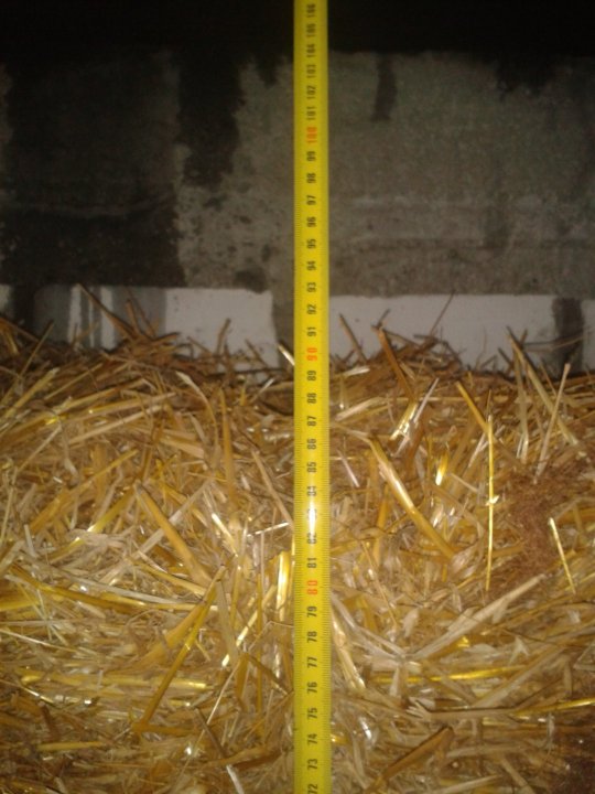 2019-07-28 12.49.27.jpg