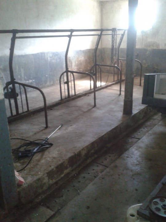 2019-07-12 09.52.48.jpg