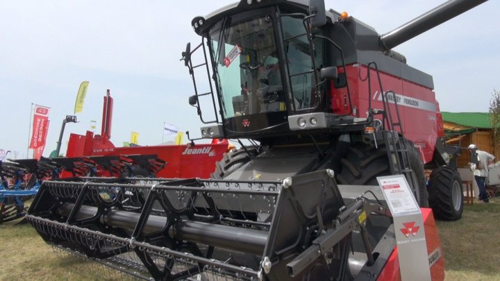 Masey F. diler Świbie-2-af.jpg