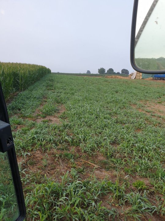 2019-08-05 07.03.36.jpg