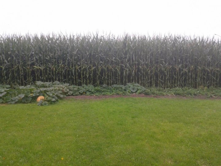 2019-08-08 07.37.12.jpg