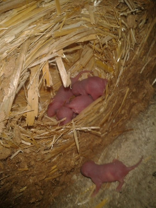 2019-08-28 12.01.38.jpg