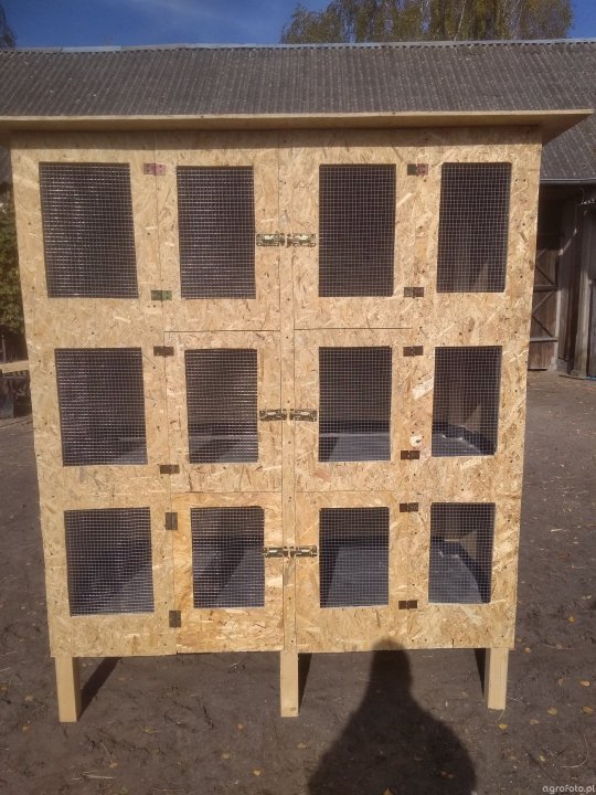 klatka_dla_krolikow_9d9e2049c61bfd5191c562fd73e45ef3.jpg