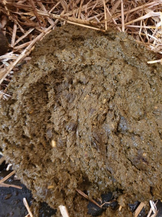 2019-09-14 17.14.33.jpg