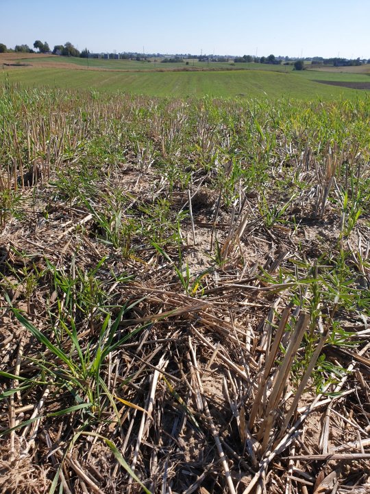 2019-09-22 13.00.34.jpg