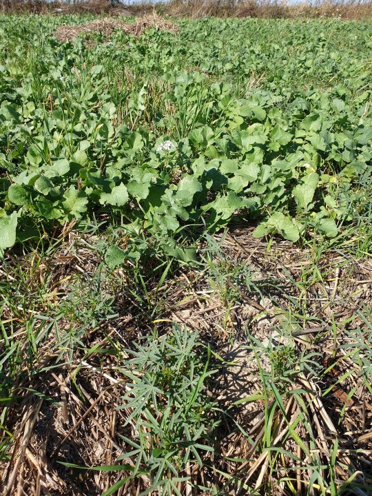 2019-09-22 13.02.47.jpg