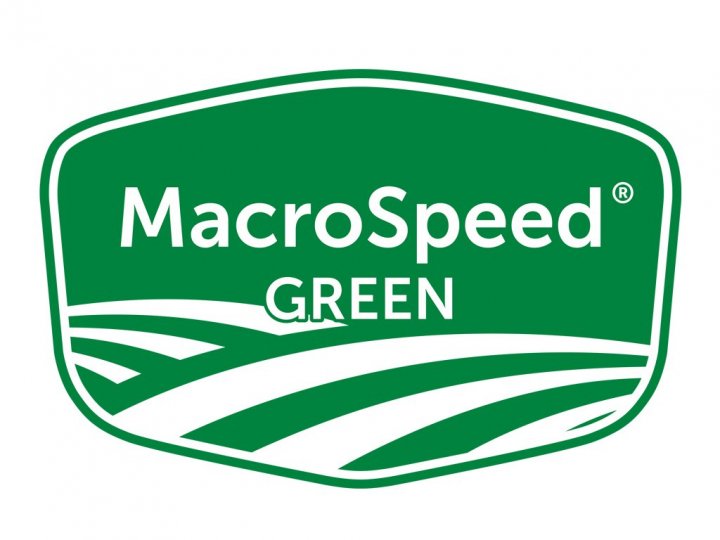 logo ms green.jpg