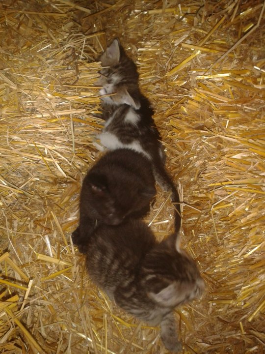 2019-09-01 17.59.02.jpg