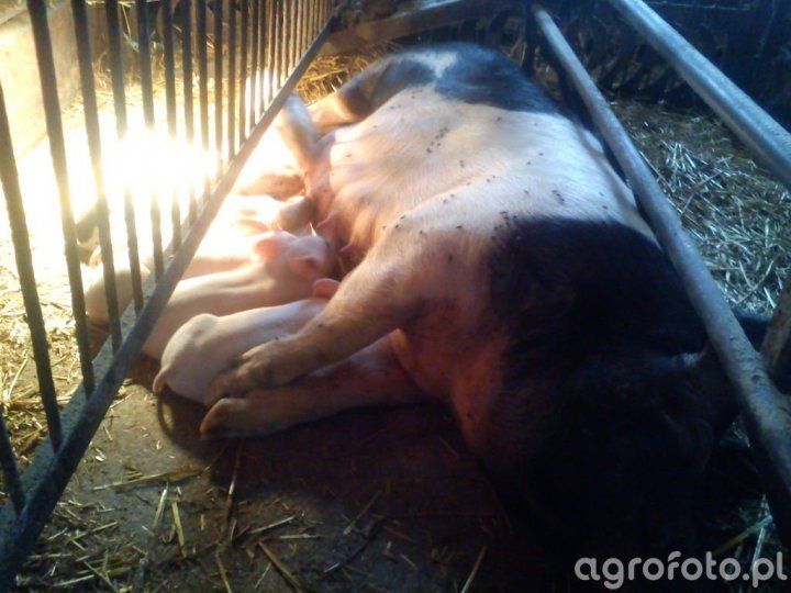 9e01f41d88a4ce3ef0a06371138861cb (1).jpg