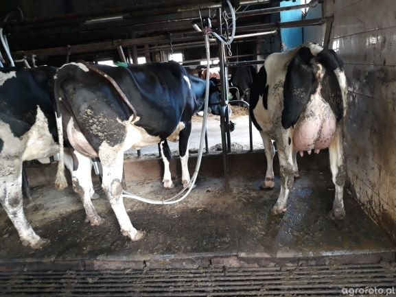 blizniaczki__d7355eeb15b6e4b00cb59a657ff4c290 (1).jpg