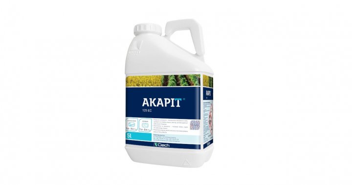 akapit-af.jpg