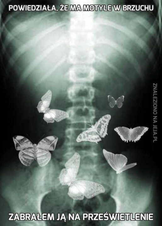115959_powiedziala-ze-ma-motyle-w-brzuchu.jpg