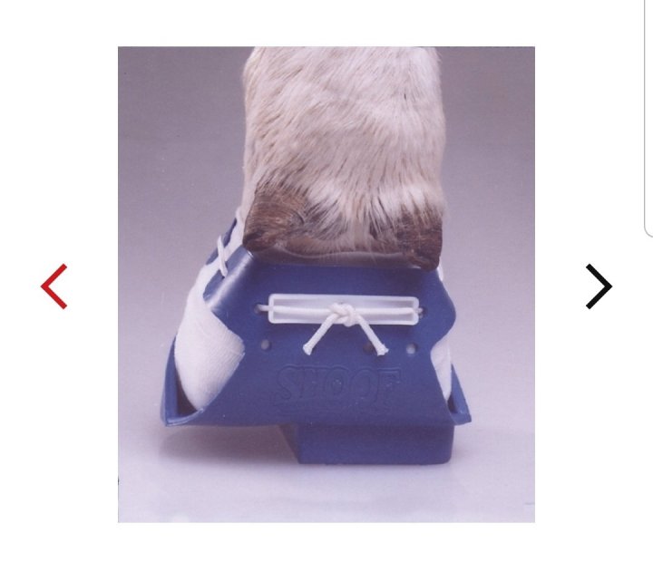 Screenshot_20191226-195752_Samsung Internet.jpg