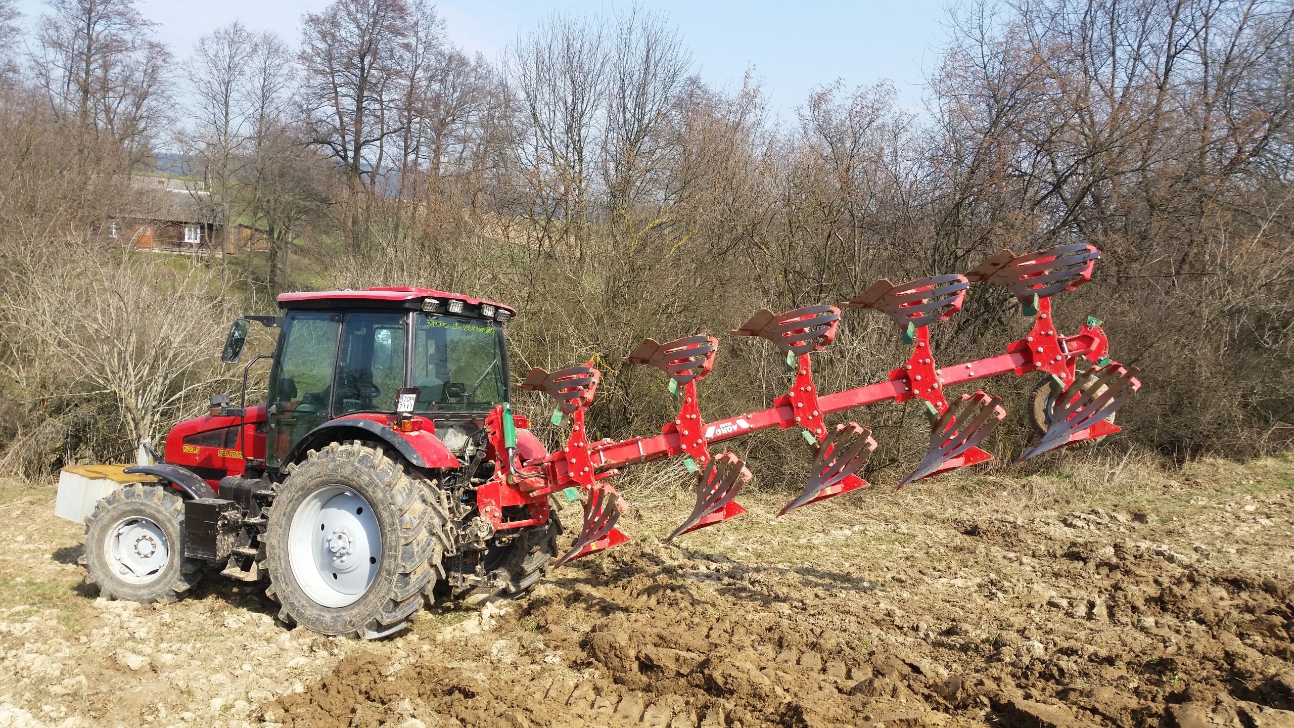 Obraz Ciągnik Mtz Belarus 1523.3 Id:768126 - Galeria Rolnicza Agrofoto