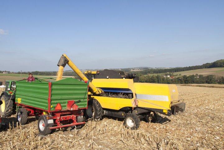 Kończą się zbiory kukurydzy.jpg