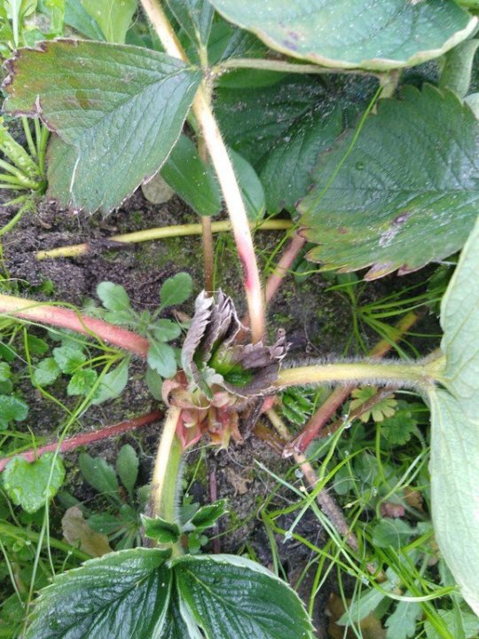 IMG_20191217_110454   (2).jpg