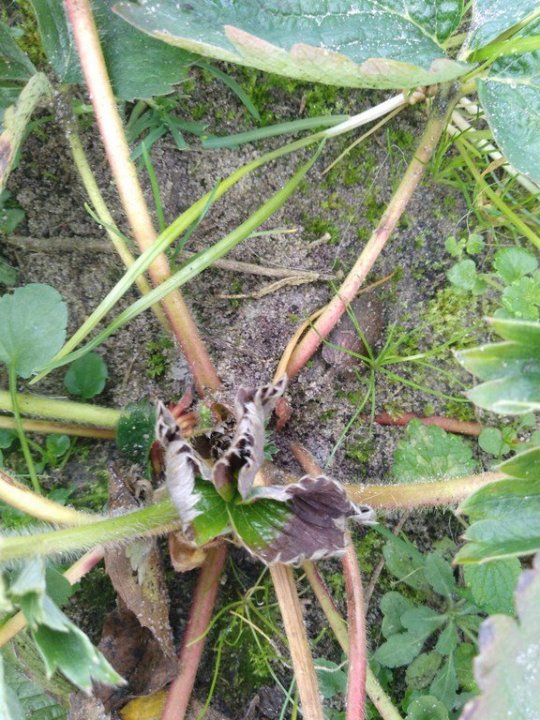 IMG_20191217_110454 .jpg