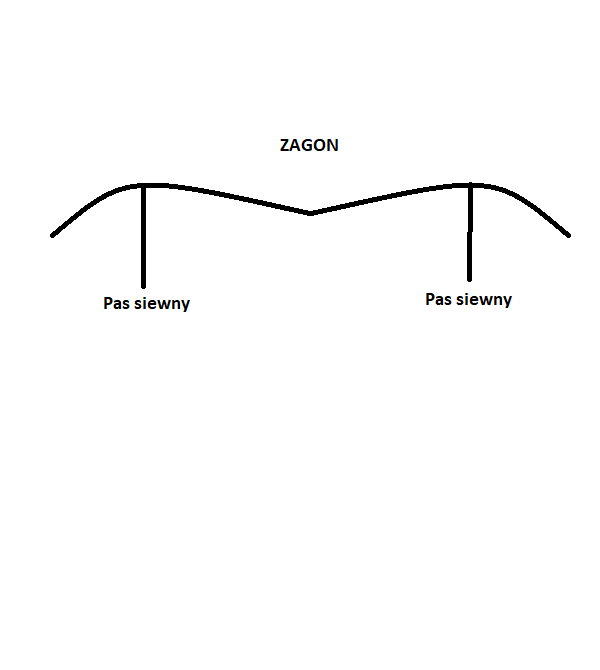 zagon.png.2964b9e33fbcb71e239a3971e5b5bc76.png