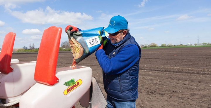 normy wysiewu _MG_3664OK_1180.jpg