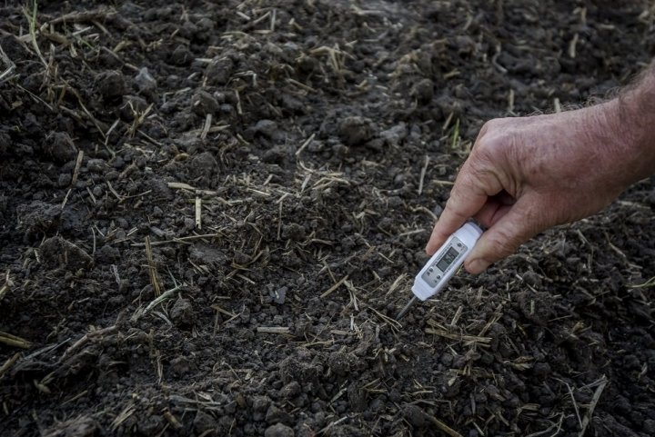 ph WYTNIJ REKE_SAMA GLEBA-Kiskunlachaza-20170906-OSR_003.jpg