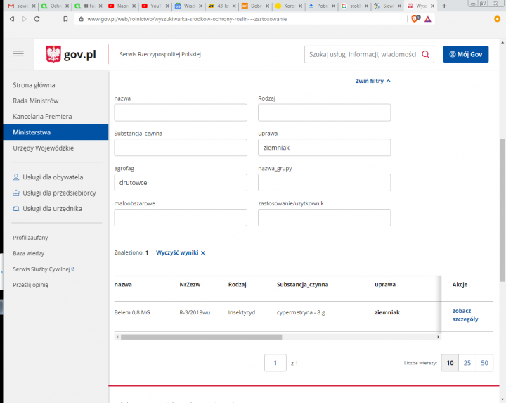 drutowce ziemniak 2020 belem.PNG