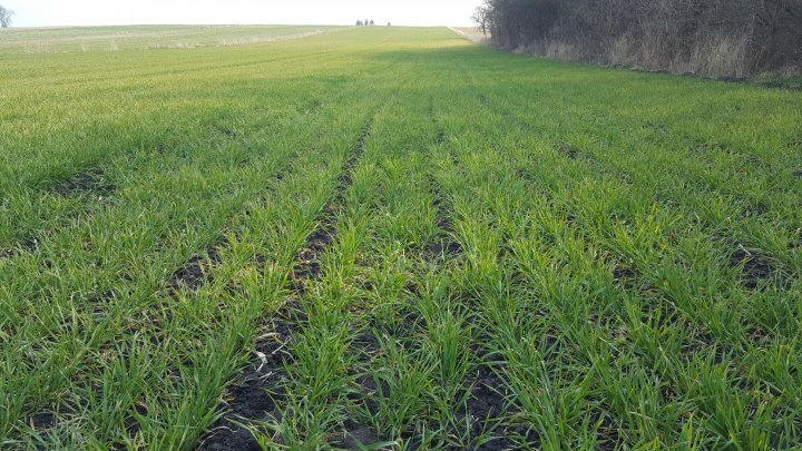 2020-03-29 15.23.21.jpg