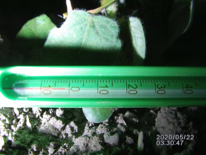 2-2przymrozek -3,5 C a przy gruncie  -1 C..JPG